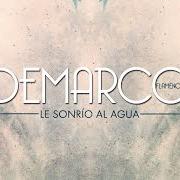 Le texte musical TE HAS MARCHADO de DEMARCO FLAMENCO est également présent dans l'album Le sonrío al agua (2019)