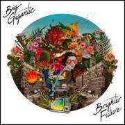 Le texte musical GOT THE LOVE de BIG GIGANTIC est également présent dans l'album Brighter future (2016)