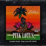 Le texte musical HEAVY de FREDDIE DREDD est également présent dans l'album Pink lotus (2018)