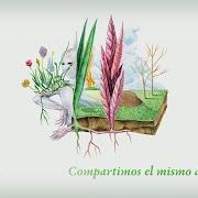 Le texte musical GUERRA CIVIL de VETUSTA MORLA est également présent dans l'album Mismo sitio, distinto lugar (2017)