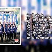 Le texte musical EL PATO NADA de BANDA LOS RECODITOS est également présent dans l'album Perfecta (2019)