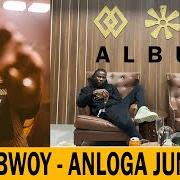 Le texte musical AFRICAN PARTY de STONEBWOY est également présent dans l'album Anloga junction (2020)