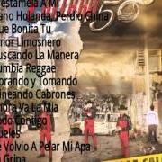 Le texte musical EL AMOR NO FUE PA' MI de CALIBRE 50 est également présent dans l'album Historias de la calle (2015)