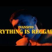 Everything is reggaeton