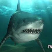 Le texte musical LONG LIVE NEFF de SHY GLIZZY est également présent dans l'album Don't feed the sharks (2021)