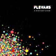Le texte musical ONE FOR THE ROAD de FLEVANS est également présent dans l'album A distant view (2016)