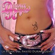 Le texte musical SÉ COMO DUELE de DIANA REYES est également présent dans l'album Las no. 1 de la reina (2006)