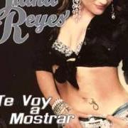 Le texte musical ALGO MAS de DIANA REYES est également présent dans l'album Te voy a mostrar (2007)