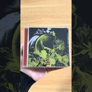 Der teufel auf meiner schulter sagt es wird alles okay Der teufel auf meiner schulter sagt es wird alles okay