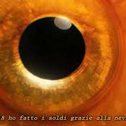 Fase rem