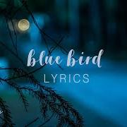 Le texte musical BLUE BIRD de ZACHARY KNOWLES est également présent dans l'album Feelings (2018)