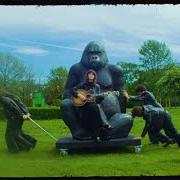 Le texte musical BIG STAR de BLOSSOMS est également présent dans l'album Gary (2024)