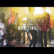 Le texte musical MAD TING de BLAIZ FAYAH est également présent dans l'album Mad ting (2020)