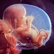 Le texte musical FEDER IM WIND de MOTRIP est également présent dans l'album Embryo (2012)
