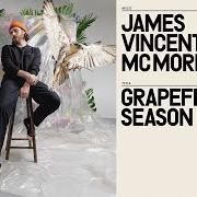 Le texte musical GONE de JAMES VINCENT MCMORROW est également présent dans l'album Grapefruit season (2021)