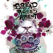 Le texte musical PLAIN OF LOST MEMORIES de RISING GALAXY est également présent dans l'album Bread, roses & ambient (2020)