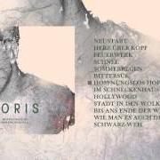 Le texte musical FEUERWERK de JORIS est également présent dans l'album Hoffnungslos hoffnungsvoll (2015)