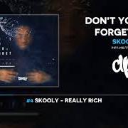 Le texte musical REALLY RICH de SKOOLY est également présent dans l'album Don't you ever forget me 2 (2018)