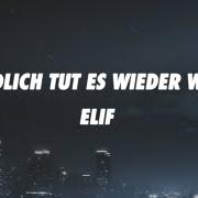 Le texte musical WEIL DU MICH NICHT GELIEBT HAST de ELIF est également présent dans l'album Endlich tut es wieder weh (2023)