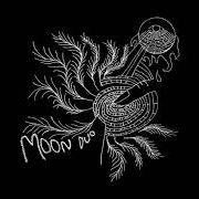 Le texte musical IN THE TREES de MOON DUO est également présent dans l'album Escape (2010)