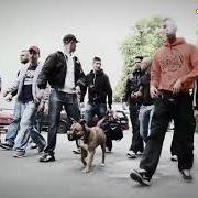 Le texte musical BONEZ IST IM HAUS de BONEZ MC est également présent dans l'album Krampfhaft kriminell (2012)
