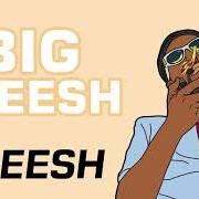 Le texte musical LEAP YEAR de YUNG GLEESH est également présent dans l'album Gleesh (2018)