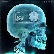 Le texte musical TEMPS PERDU de PLK est également présent dans l'album Mental (2019)