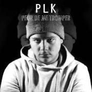 Le texte musical PALM TREES de PLK est également présent dans l'album Peur de me tromper (2015)