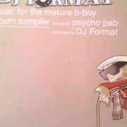 Le texte musical WE KNOW SOMETHING de DJ FORMAT est également présent dans l'album Music for the mature b-boy (2003)