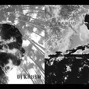 Le texte musical STORMY CLOUD de DJ KRUSH est également présent dans l'album Jaku (2004)