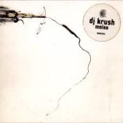 Le texte musical BYPATH 2 de DJ KRUSH est également présent dans l'album Meiso (1996)