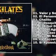 Le texte musical VALOR Y SOSTENGO de EL FANTASMA est également présent dans l'album 10 kilates: con norteño (2019)