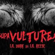 Le texte musical WHAT IT LOOK LIKE de LIL REESE est également présent dans l'album Supa savage (2013)