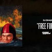 Le texte musical FLEETING YOUTH (AN AUDIBLE LIFE) de DJ SHADOW est également présent dans l'album Action adventure (2023)