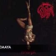 Le texte musical MI YEMAYÁ de COSTA est également présent dans l'album Inmortal (2014)