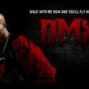 Le texte musical FALLIN de DMX est également présent dans l'album You'll fly with me later (2011)