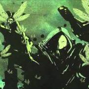 Le texte musical UNALTERED BEAST de DØDHEIMSGARD est également présent dans l'album Supervillain outcast (2007)