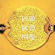 Le texte musical WHITE HOUSE BLUES de KO KO MO est également présent dans l'album Lemon twins (2019)