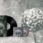 Le texte musical LOW TIDE EXPLORATIONS de AES DANA est également présent dans l'album Pollen (2012)