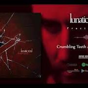 Le texte musical ASOULUM de LUNATIC SOUL est également présent dans l'album Lunatic soul ii (2010)