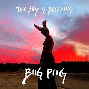 Le texte musical LAVENDER de BIIG PIIG est également présent dans l'album The sky is bleeding (2021)