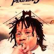 Le texte musical THE NETHER de TRIPPIE REDD est également présent dans l'album Pegasus (2020)