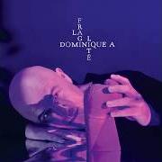 Le texte musical LA FRAGILITÉ de DOMINIQUE A est également présent dans l'album La fragilité (2018)