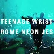 Le texte musical DWEEB de TEENAGE WRIST est également présent dans l'album Chrome neon jesus (2018)