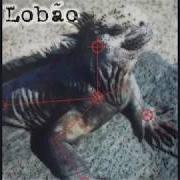 Le texte musical CANOS SILÊNCIOSÓS de LOBÃO est également présent dans l'album Lobão (2015)