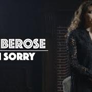 Le texte musical I'M SORRY de KIMBEROSE est également présent dans l'album Chapter one (deluxe) (2019)