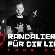 Le texte musical KUHLE TYPEN de SWISS & DIE ANDERN est également présent dans l'album Randalieren für die liebe (2018)
