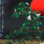 Le texte musical LEMON KUSH de OZRIC TENTACLES est également présent dans l'album Paper monkeys (2011)