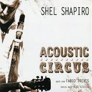 Le texte musical C'È UNA STRANA ESPRESSIONE NEI TUOI OCCHI de SHEL SHAPIRO & MAURIZIO VANDELLI est également présent dans l'album Acoustic circus (2008)