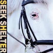 Le texte musical SHELTER SONG de ICEAGE est également présent dans l'album Seek shelter (2021)